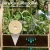 Mn9d2719cb97c4c16.jpg.webp