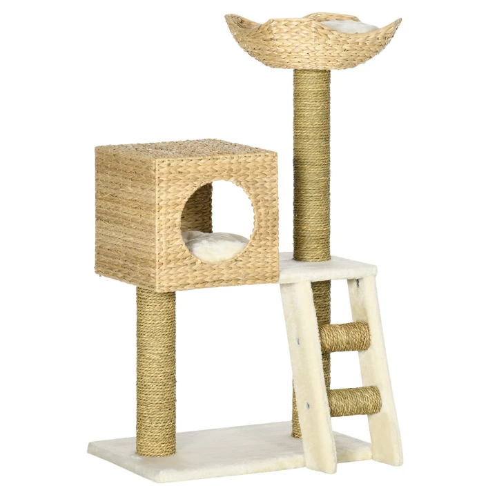 3Ygb8119a9729c1e9.jpg